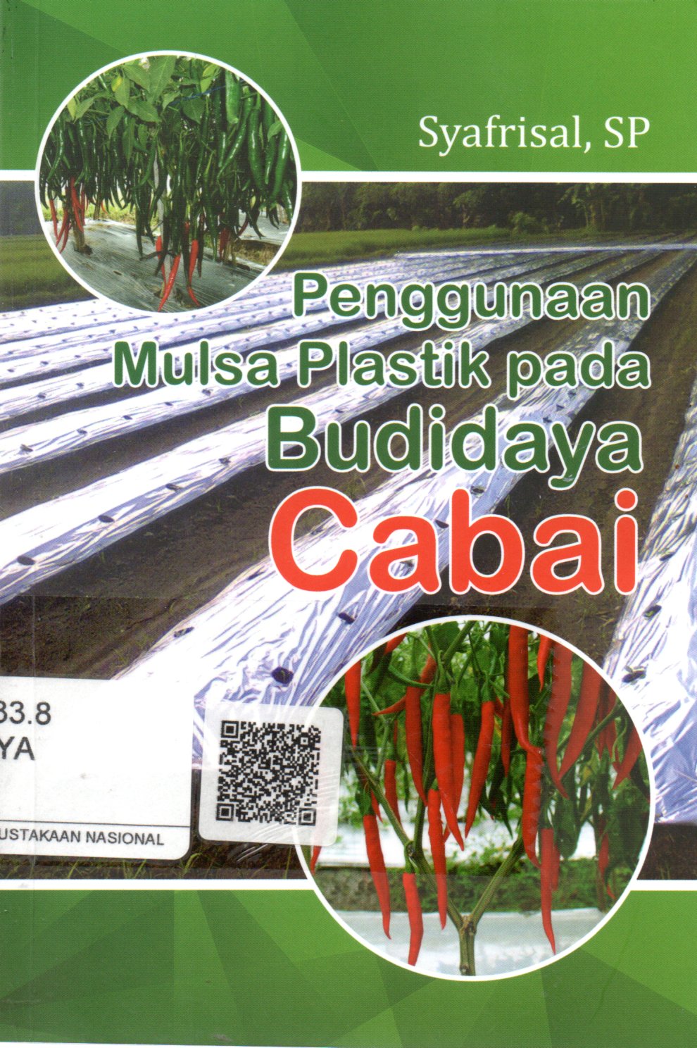 Sampul Penggunaan Mulsa Plastik Hitam-Perak Pada Budidaya Cabai