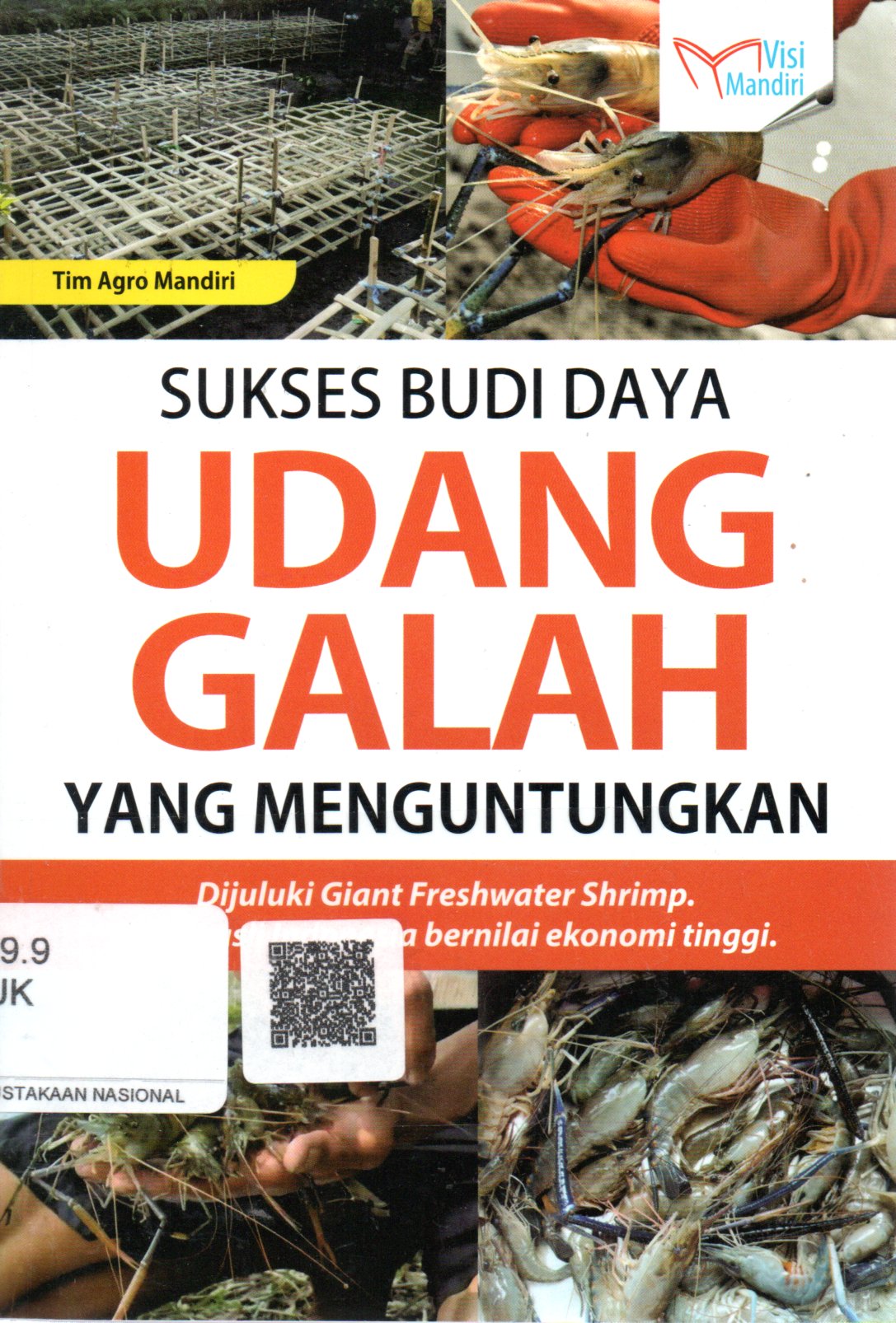 Sampul Sukses Budi Daya Udang Galah yang Menguntungkan :  Dijuluki Giant Freshwater Shrimp Fauna Asli Indonesia Bernilai Ekonomi Tinggi