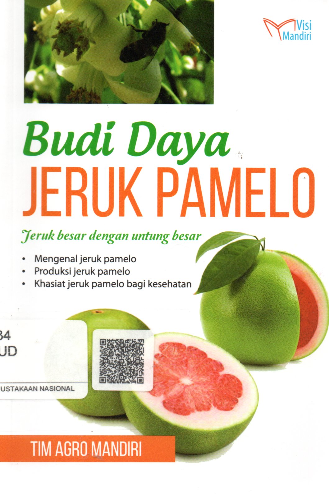 Sampul Budi Daya Jeruk Pamelo