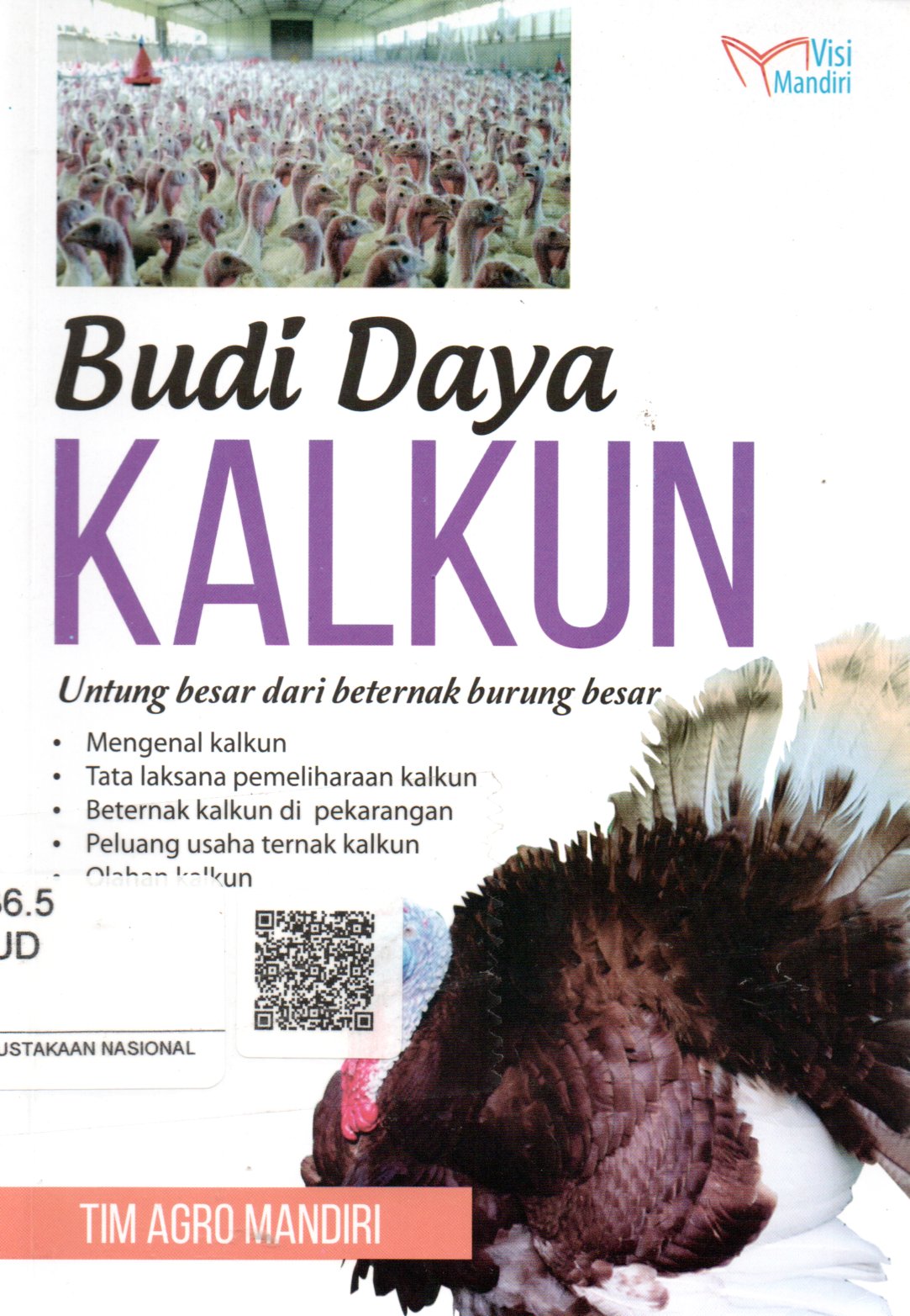 Sampul Budi Daya Kalkun