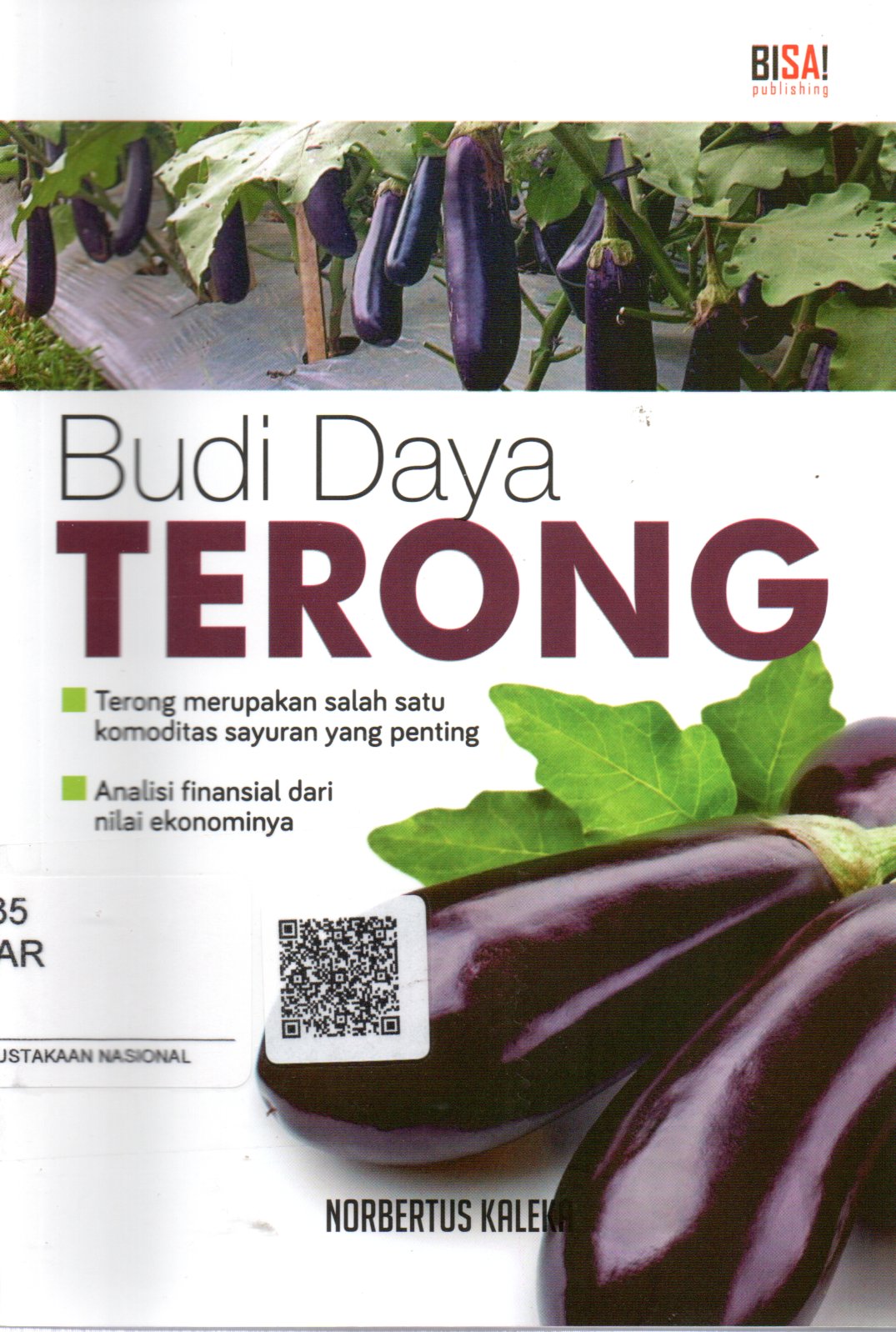 Sampul Budi Daya Terong