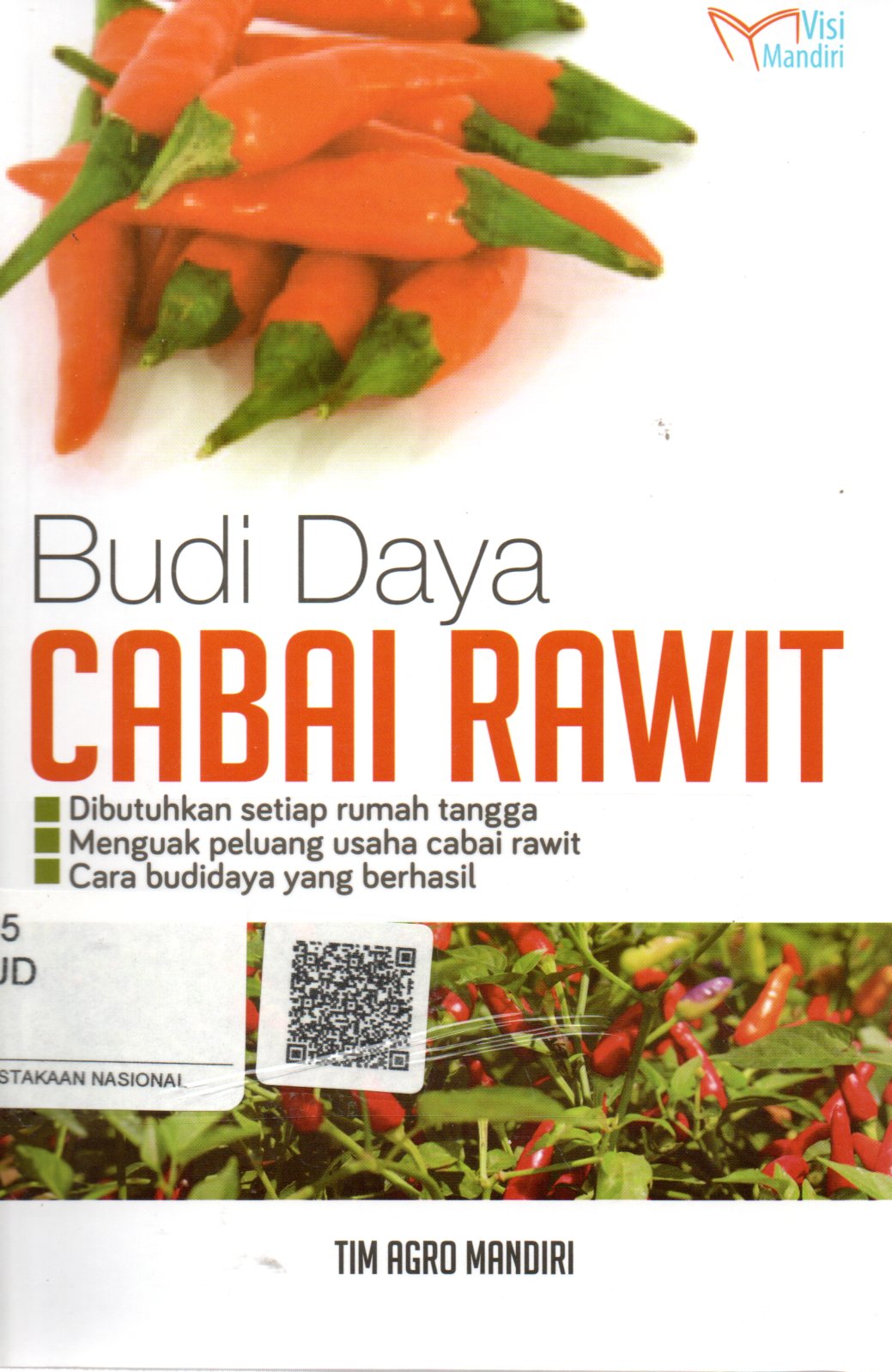 Sampul Budi Daya Cabai Rawit / Editor: Rissa Yanuar