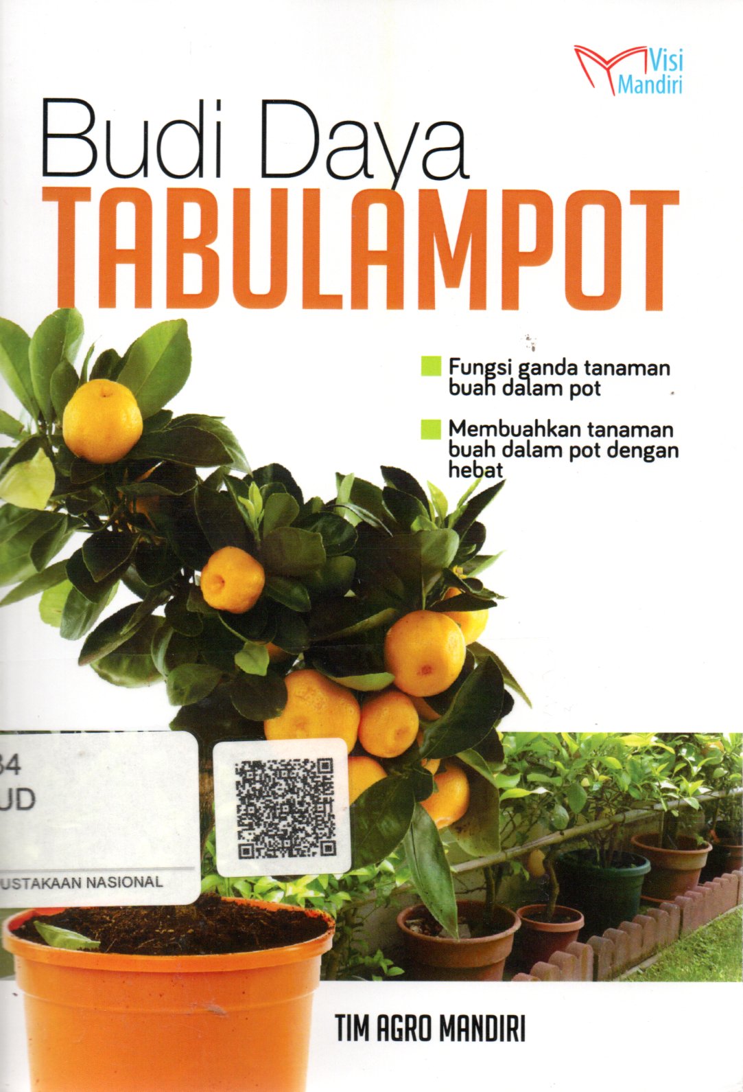 Sampul Budi Daya Tabulampot