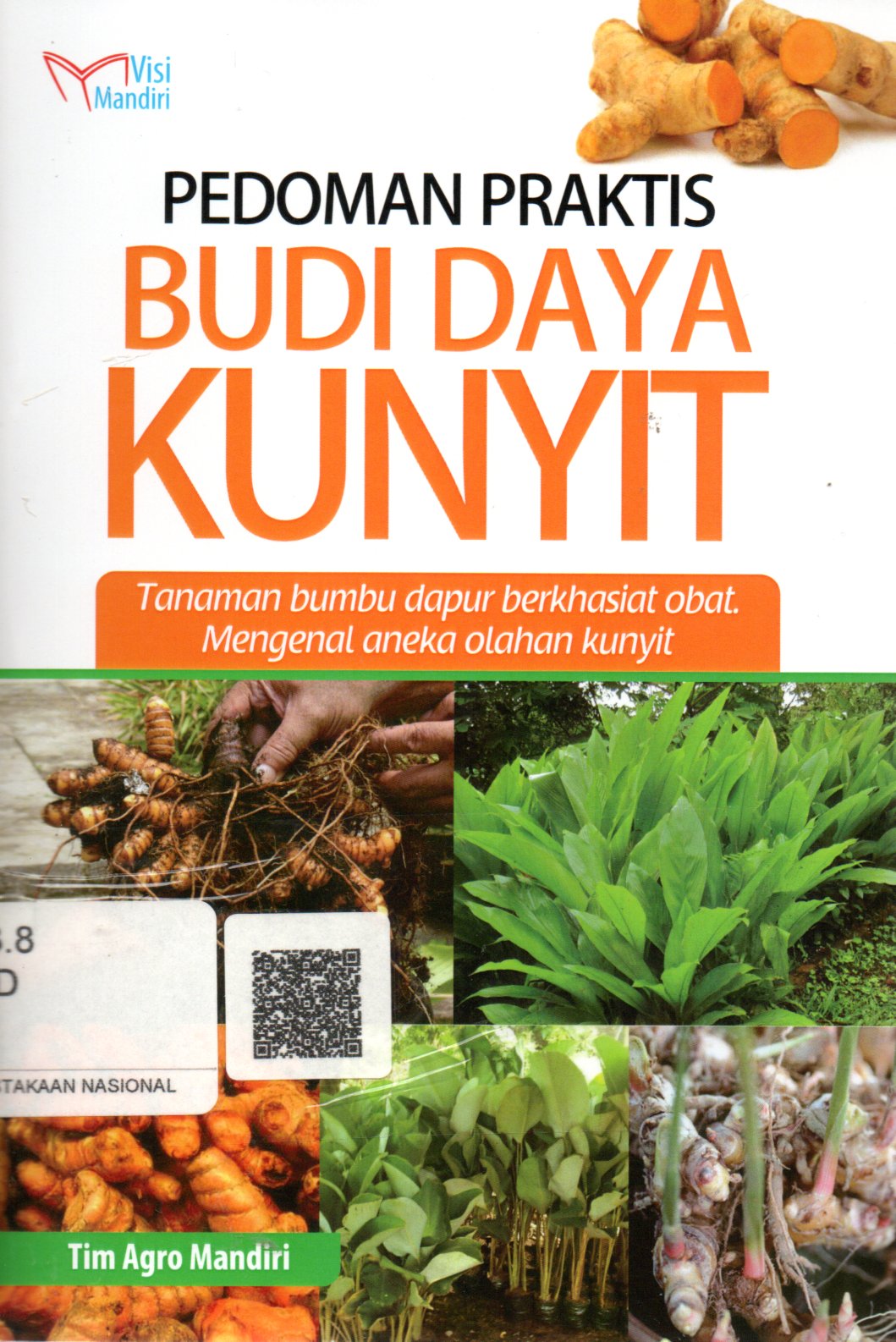 Sampul Pedoman Praktis Budi Daya Kunyit :  Tanaman Bumbu Dapur Berkhasiat obat. Mengenal Aneka Olahan Kunit
