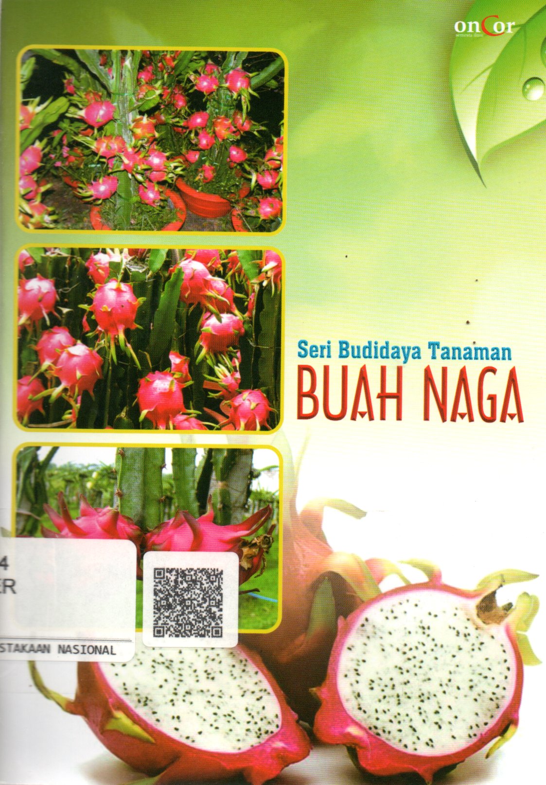 Sampul Seri Budidaya Tanaman Buah Naga