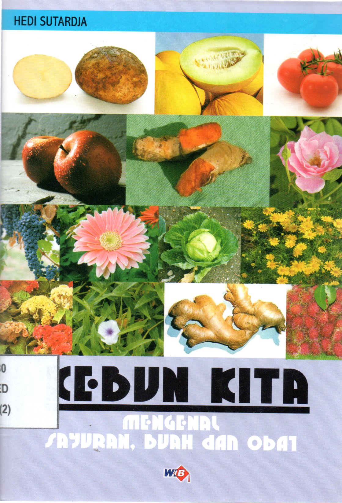 Sampul Kebun Kita :  Mengenal Sayuran, Buah dan Obat