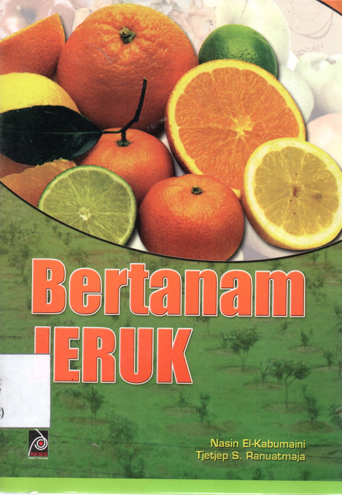 Sampul Bertanam Jeruk / Editor: Rissa Yanuar