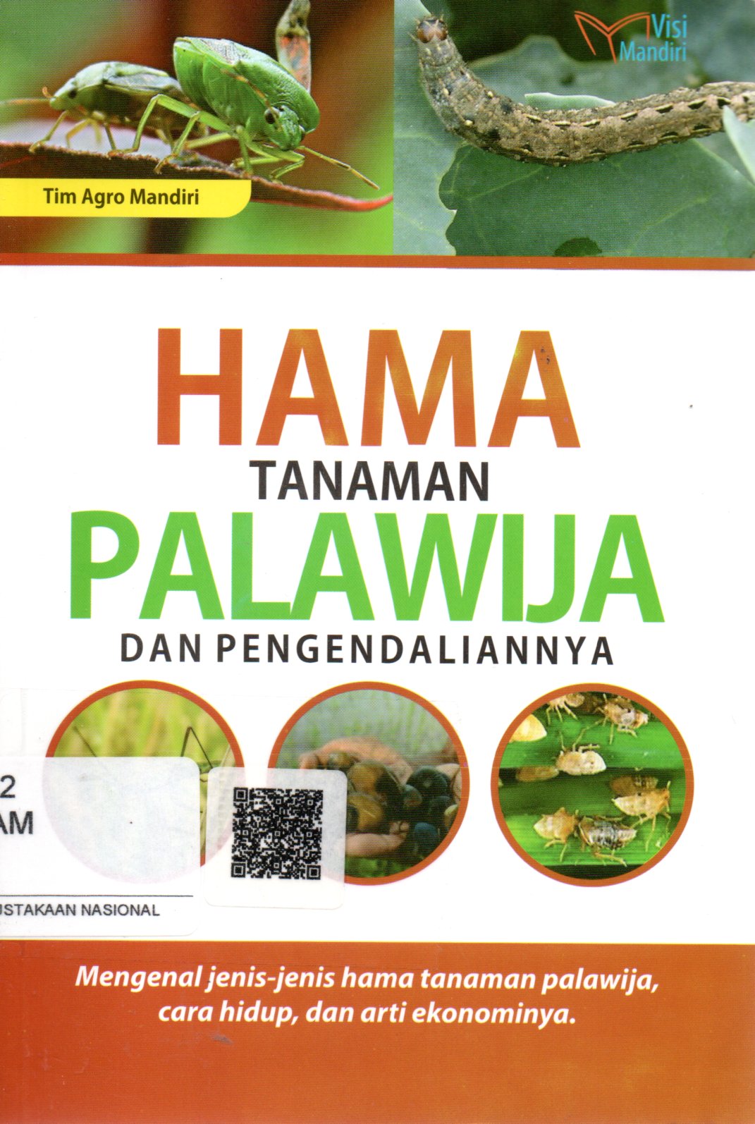 Sampul Hama Tanaman Palawija dan Pengendaliannya