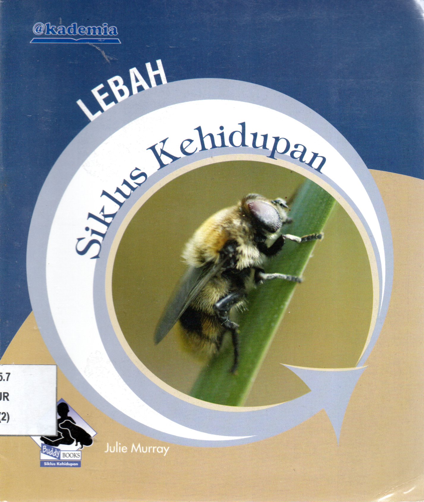 Sampul Siklus Kehidupan :  Lebah / Penerjemah: Febrianti I.D