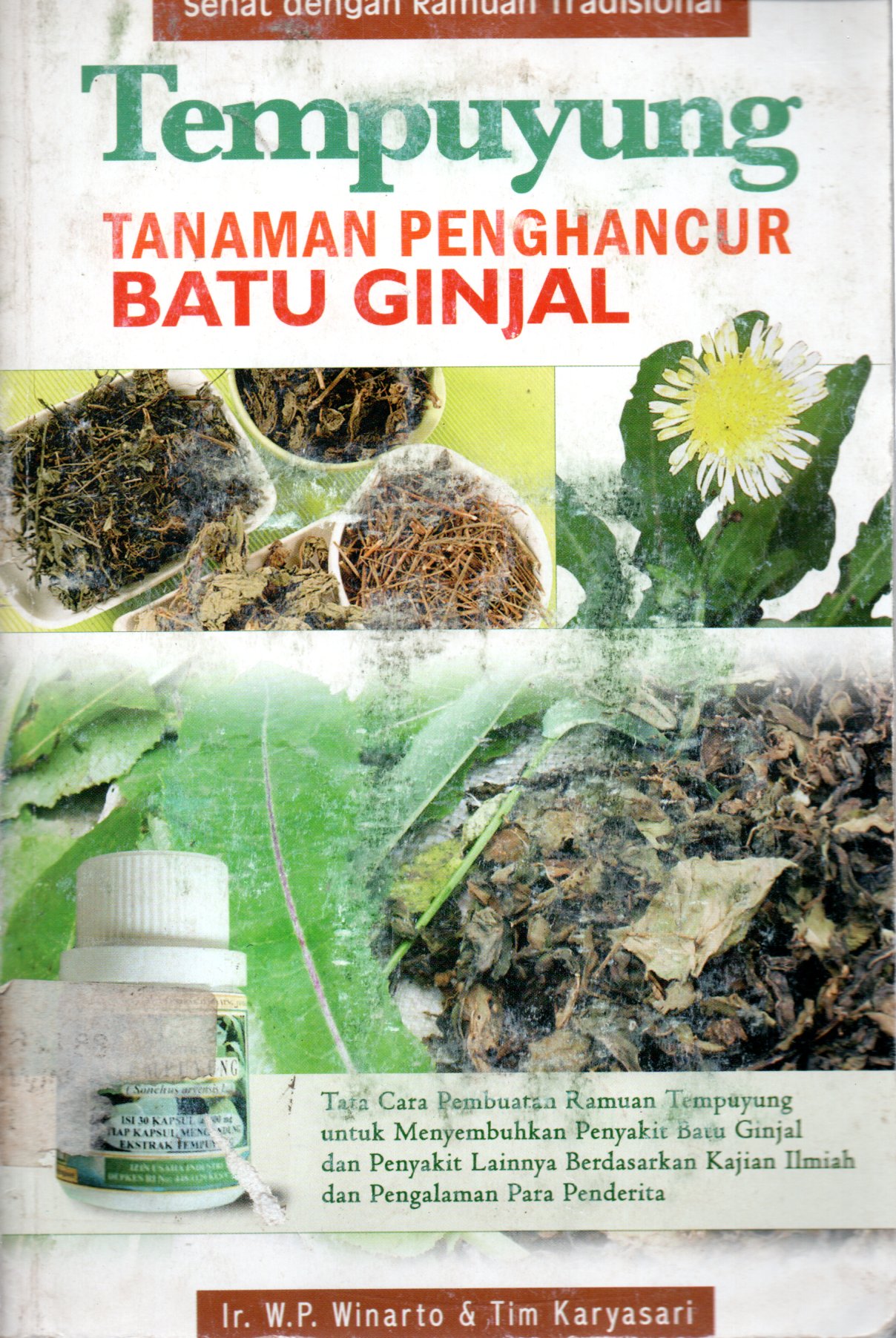 Sampul Tempuyung :  Tanaman Penghancur Batu Ginjal / Penyunting: Tetty Yulia