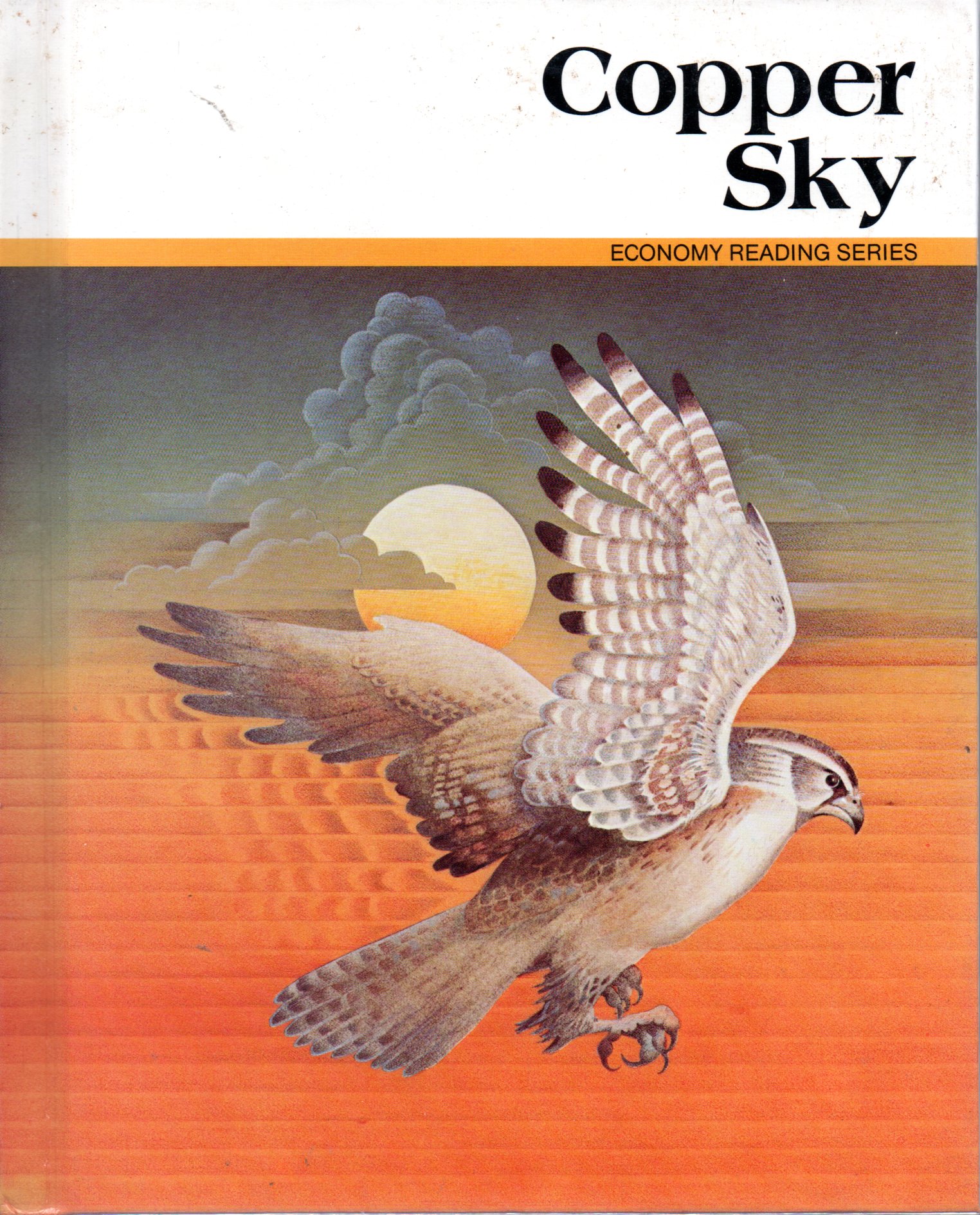 Sampul Copper Sky :  Economy Reading Series