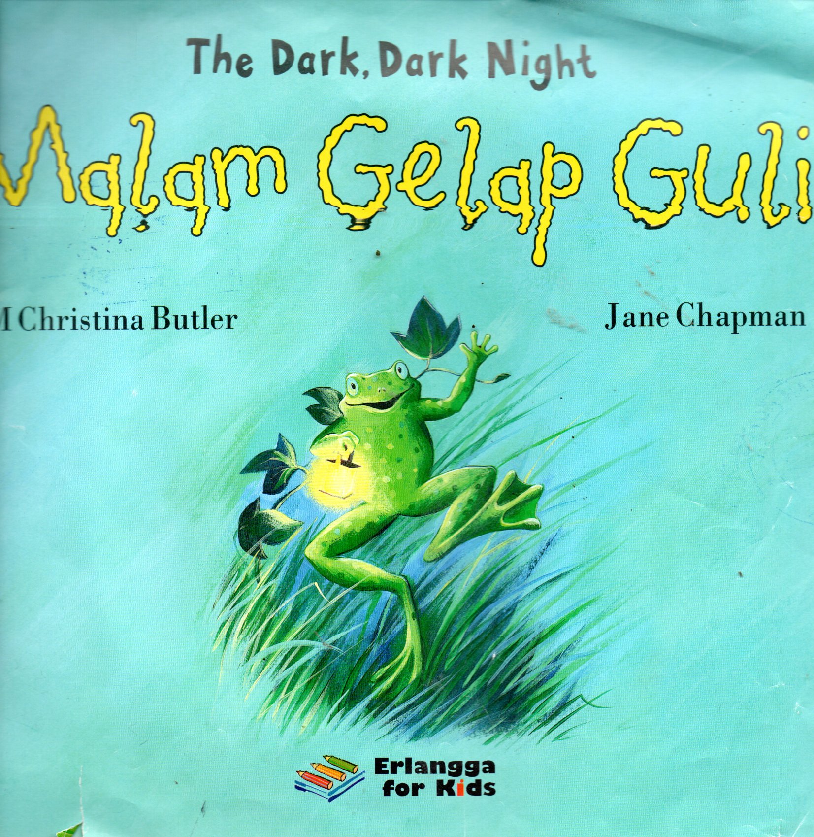 Sampul Malam Gelap Gulita = The Dark, Dark Night