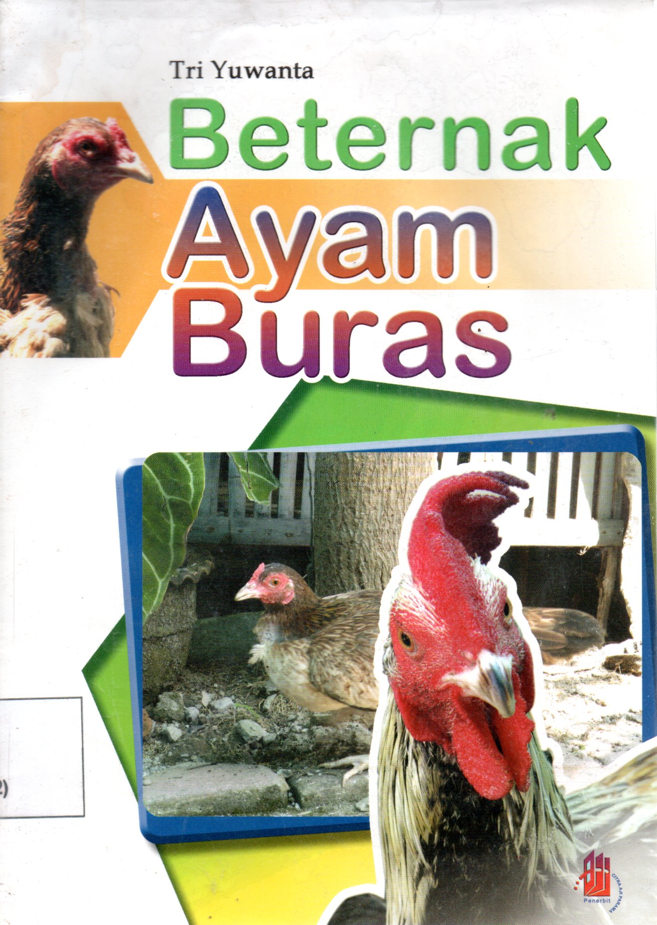 Sampul Beternak Ayam Buras