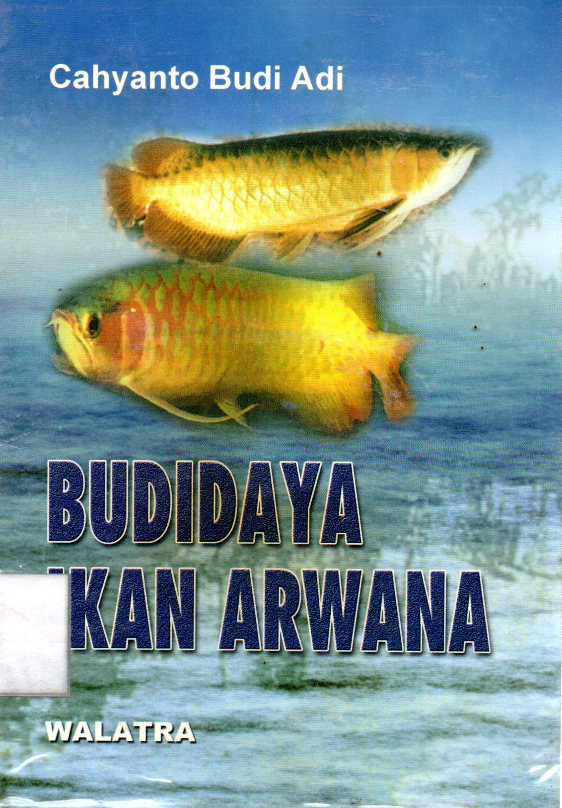 Sampul Budidaya Ikan Arwana