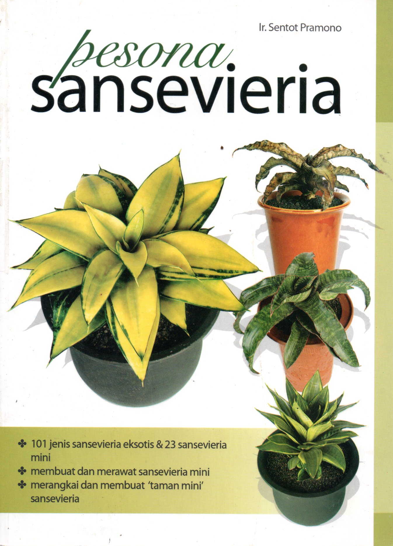 Sampul Pesona Sansevieria / Penyunting: Astutiningsih