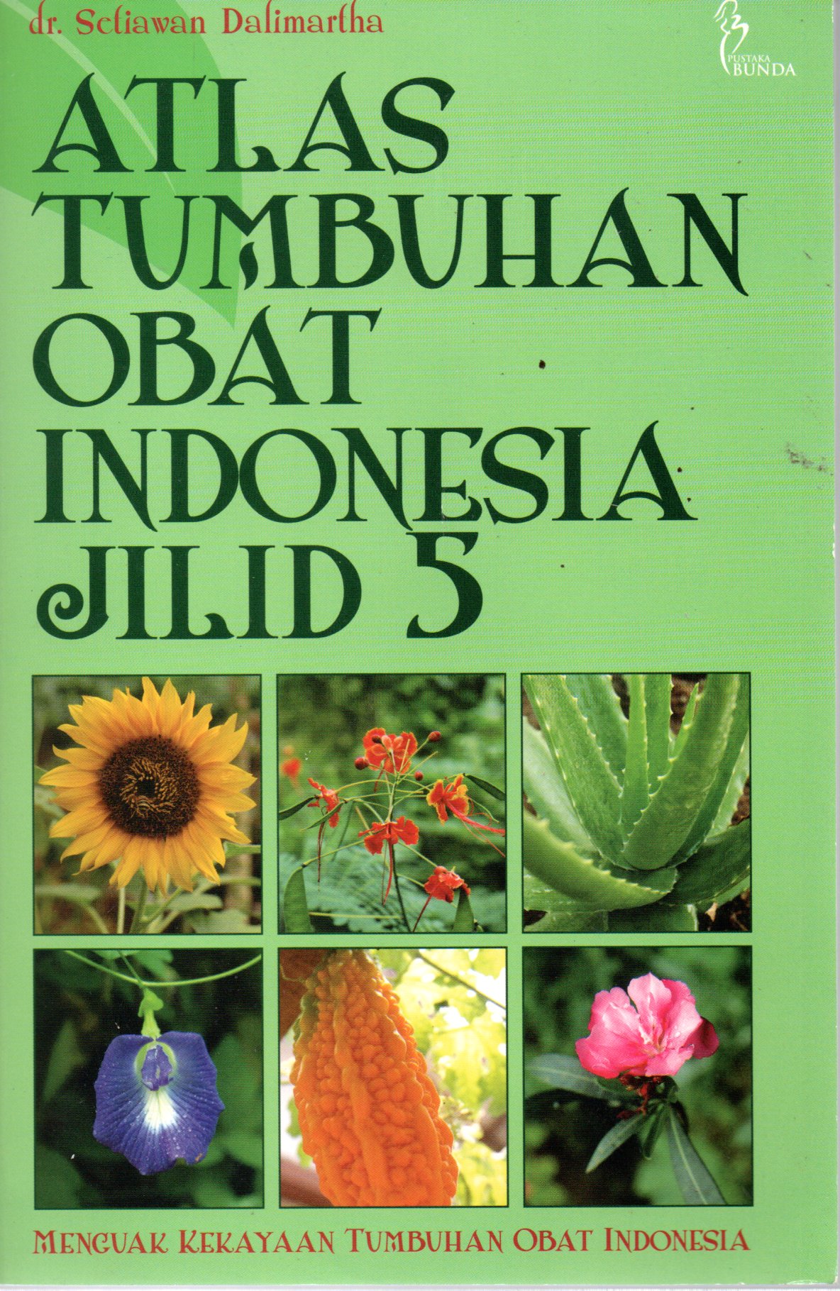 Sampul Atlas Tumbuhan Obat Indonesia Jilid 5 :  Menguak Kekayaan Tumbuhan Obat Indonesia