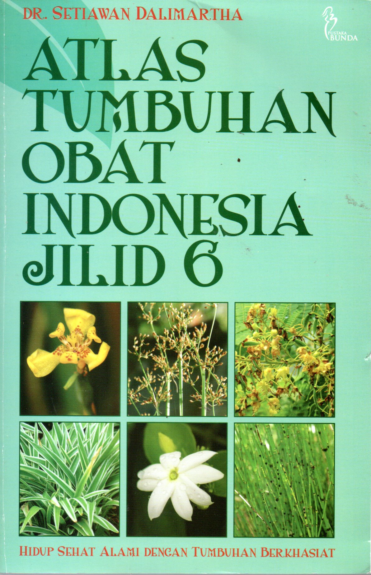 Sampul Atlas Tumbuhan Obat Indonesia Jilid 6 / Penyunting: Ria Dahlianti