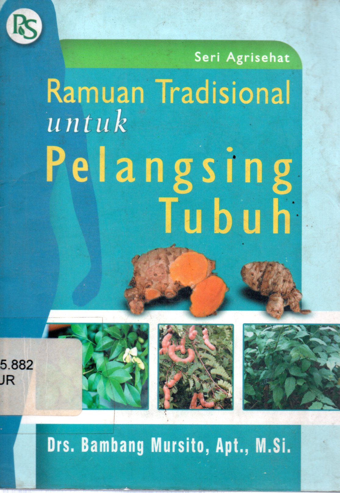 Sampul Ramuan Tradisional untuk Pelangsing Tubuh :  Seri Agrisehat / Ilustrator: Riski