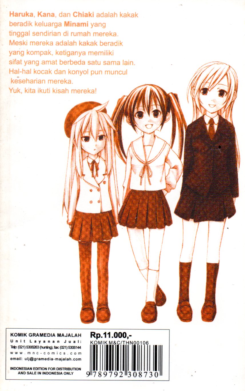 Sampul The Minami Family / Alih Bahasa: Aswini Rosita