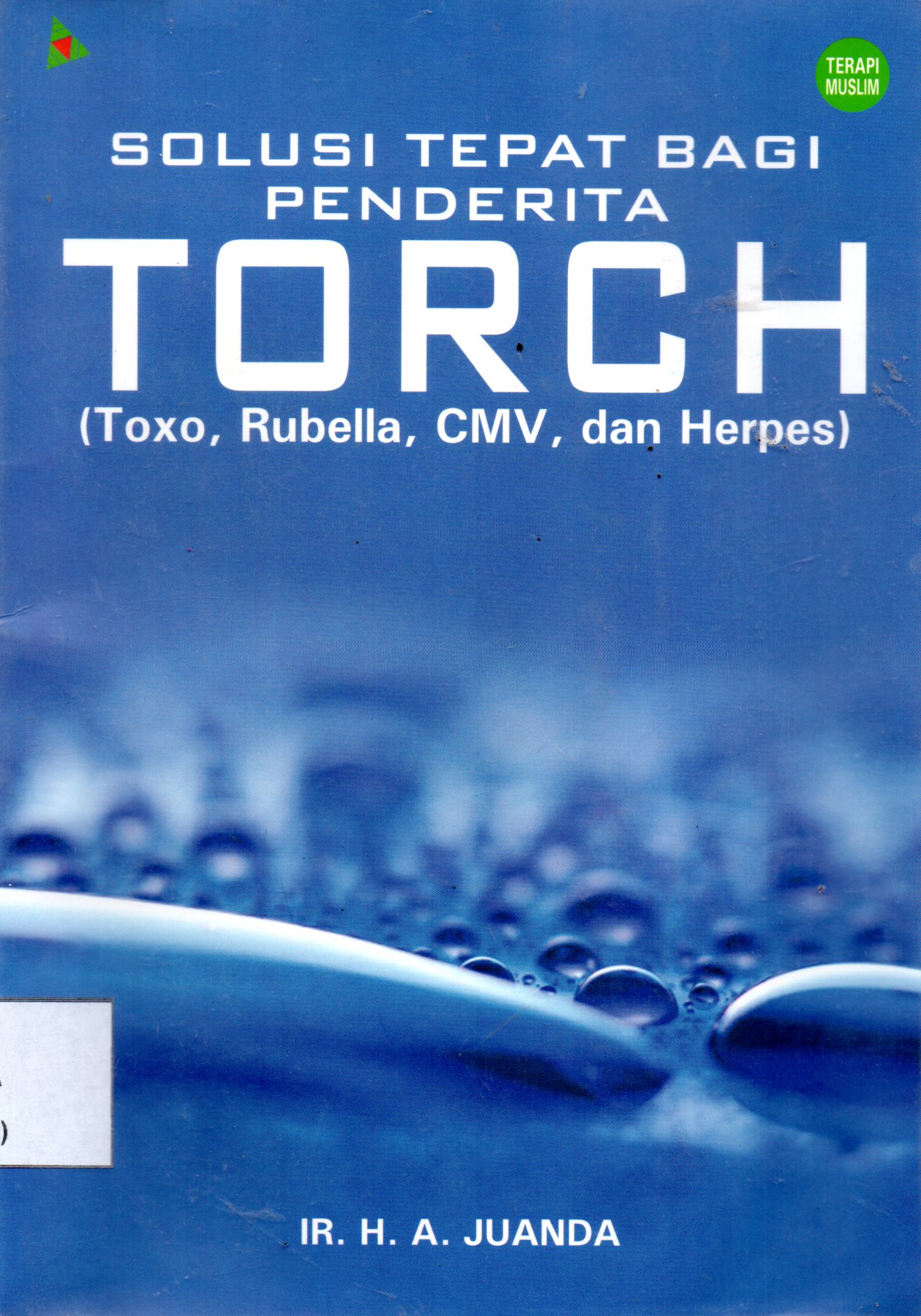 Sampul Solusi Tepat Bagi Penderitan TORCH :  (Toxo, Rubella, CMV, dan Herpes)
