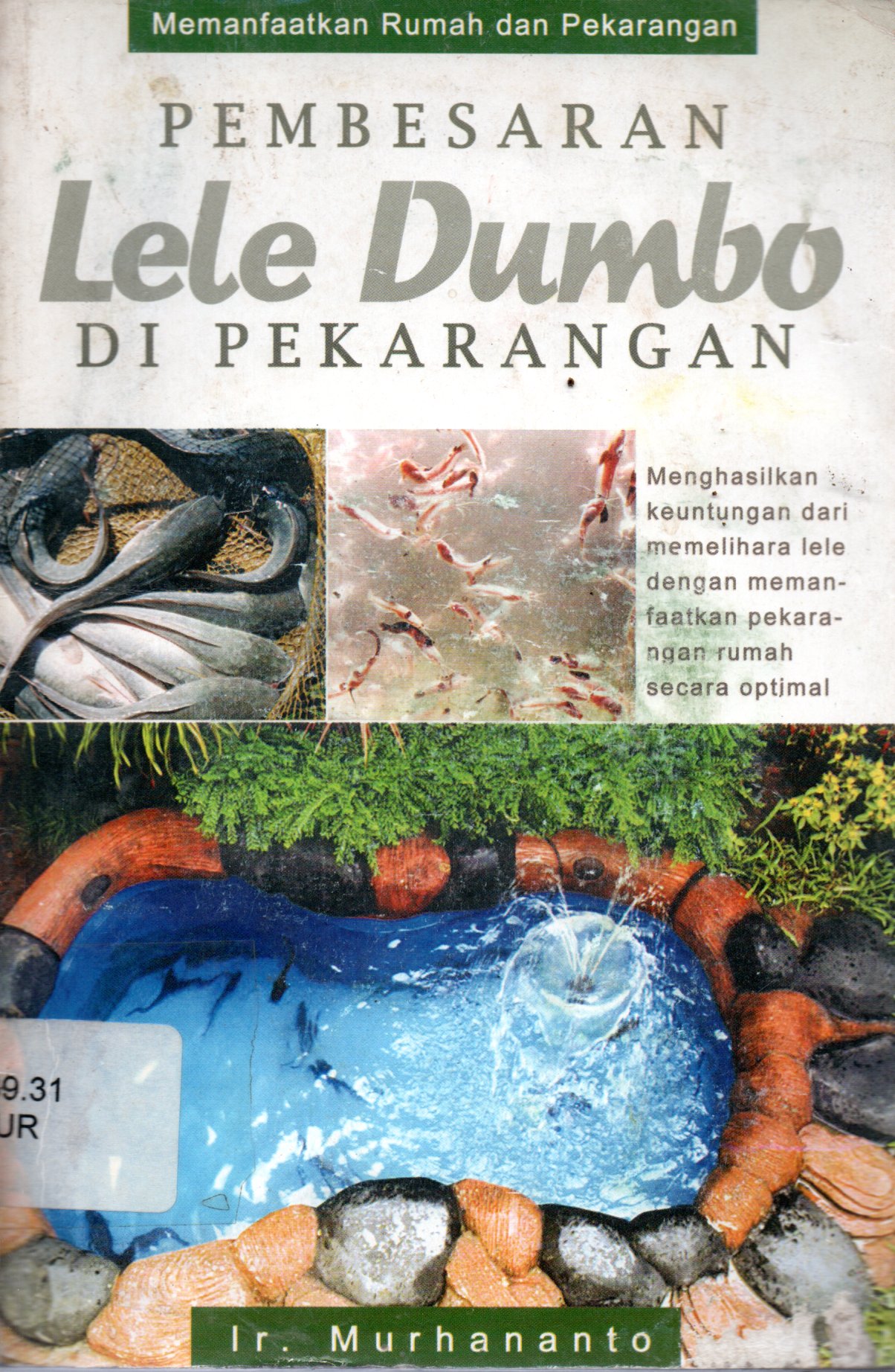 Sampul Pembesaran Lele Dumbo di Pekarangan / Penyunting: Mulyono