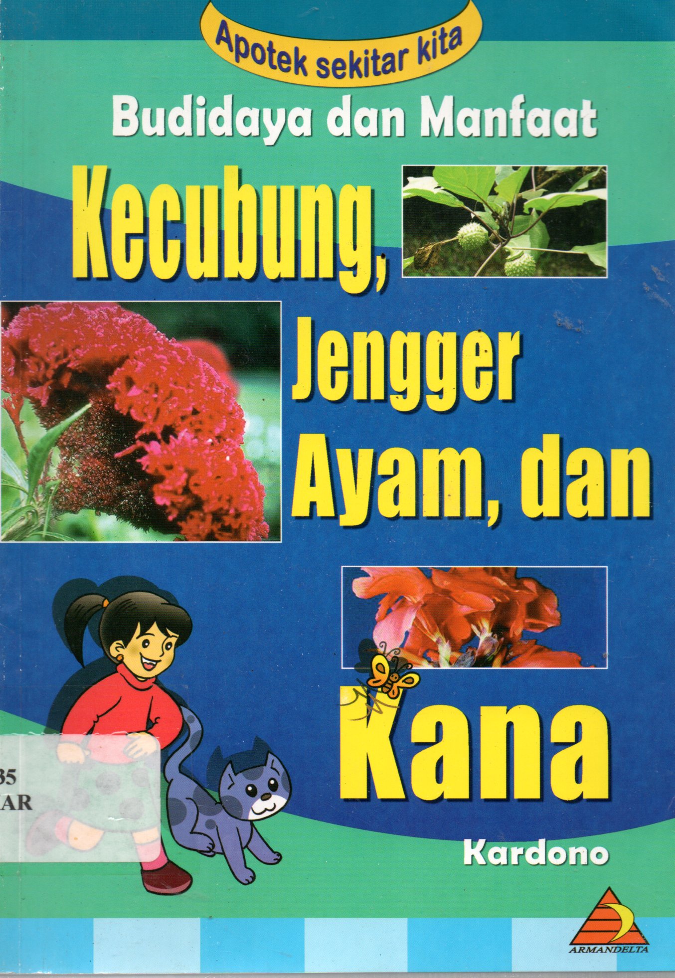 Sampul Budidaya dan Manfaat Kecubung, Jengger, Ayam, dan Kana