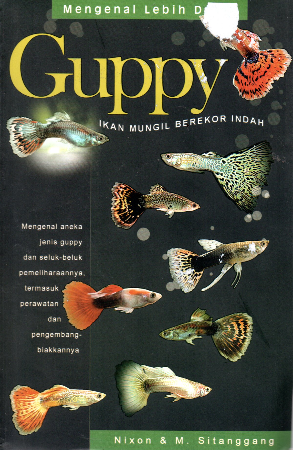 Sampul Mengenal Lebih Dekat Guppy :  Ikan Mungil Berekor Indah / Penyunting: Lukito Adi Marianto