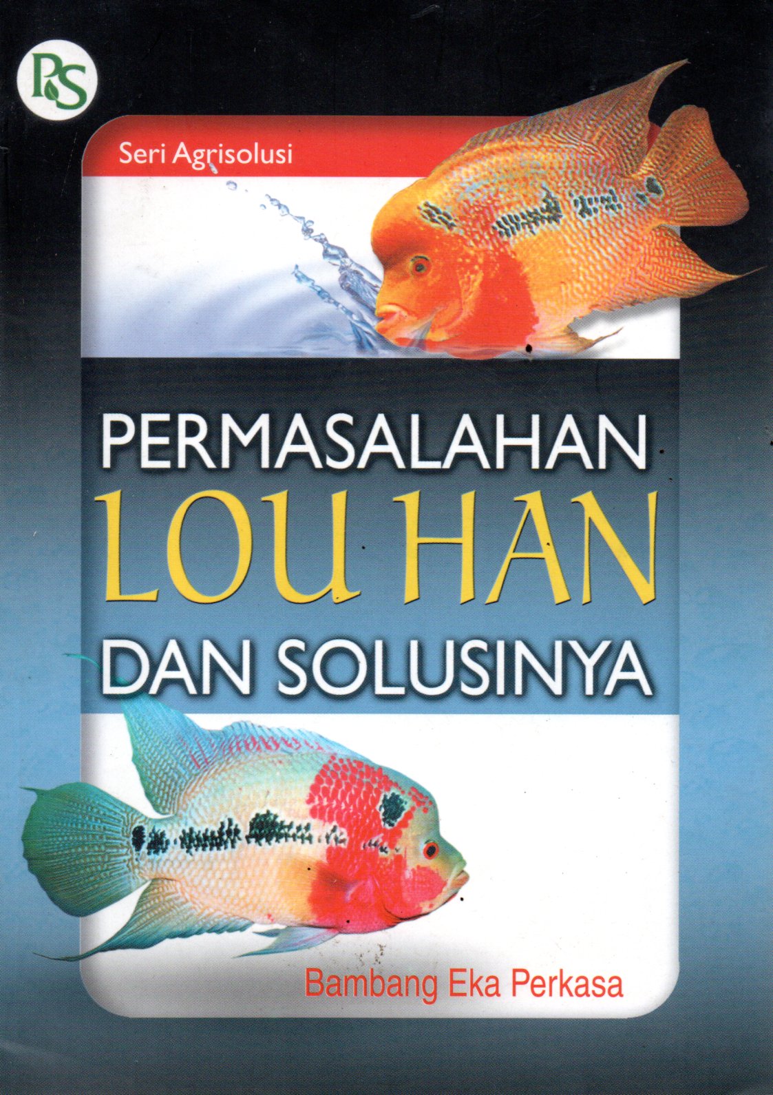 Sampul Permasalahan Lou Han dan Solusinya