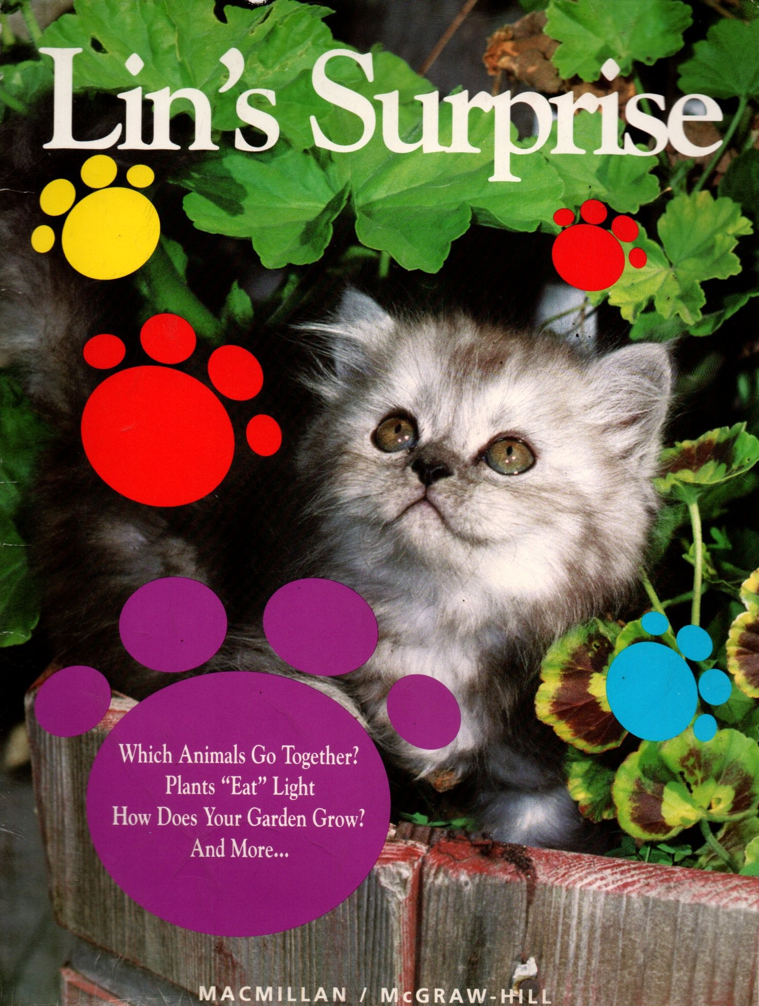 Sampul Lin's Surprise