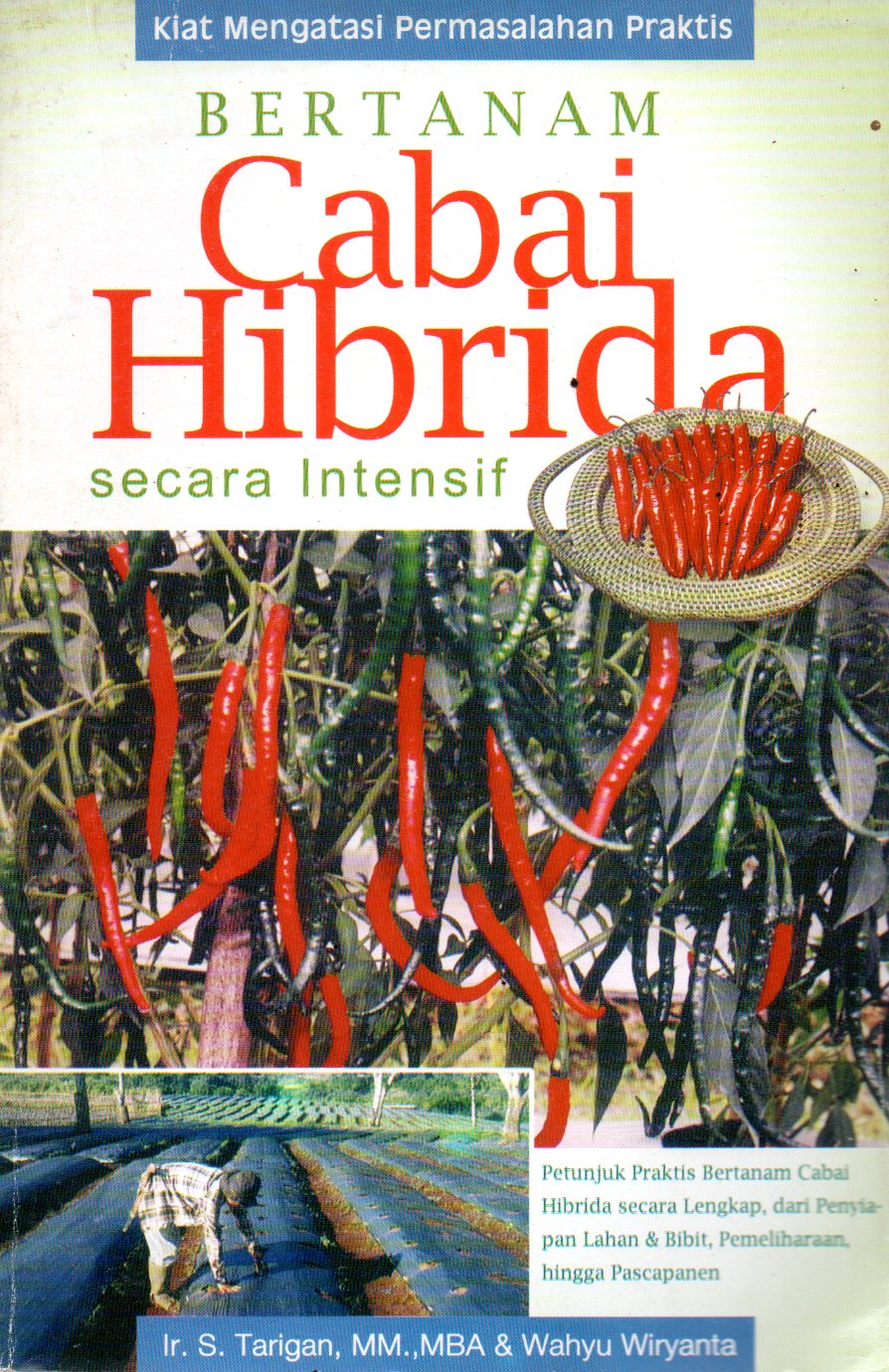 Sampul Bertanam Cabai Hibrida :  secara Intensif / Penyunting: Tetty