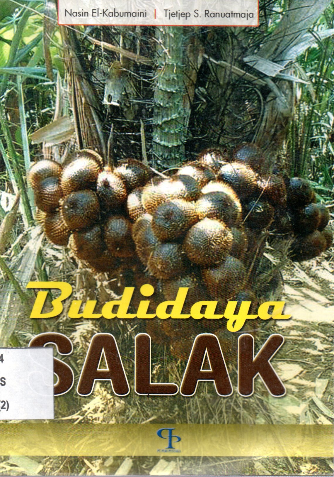 Sampul Budidaya Salak / Editor: Rissa Yanuar