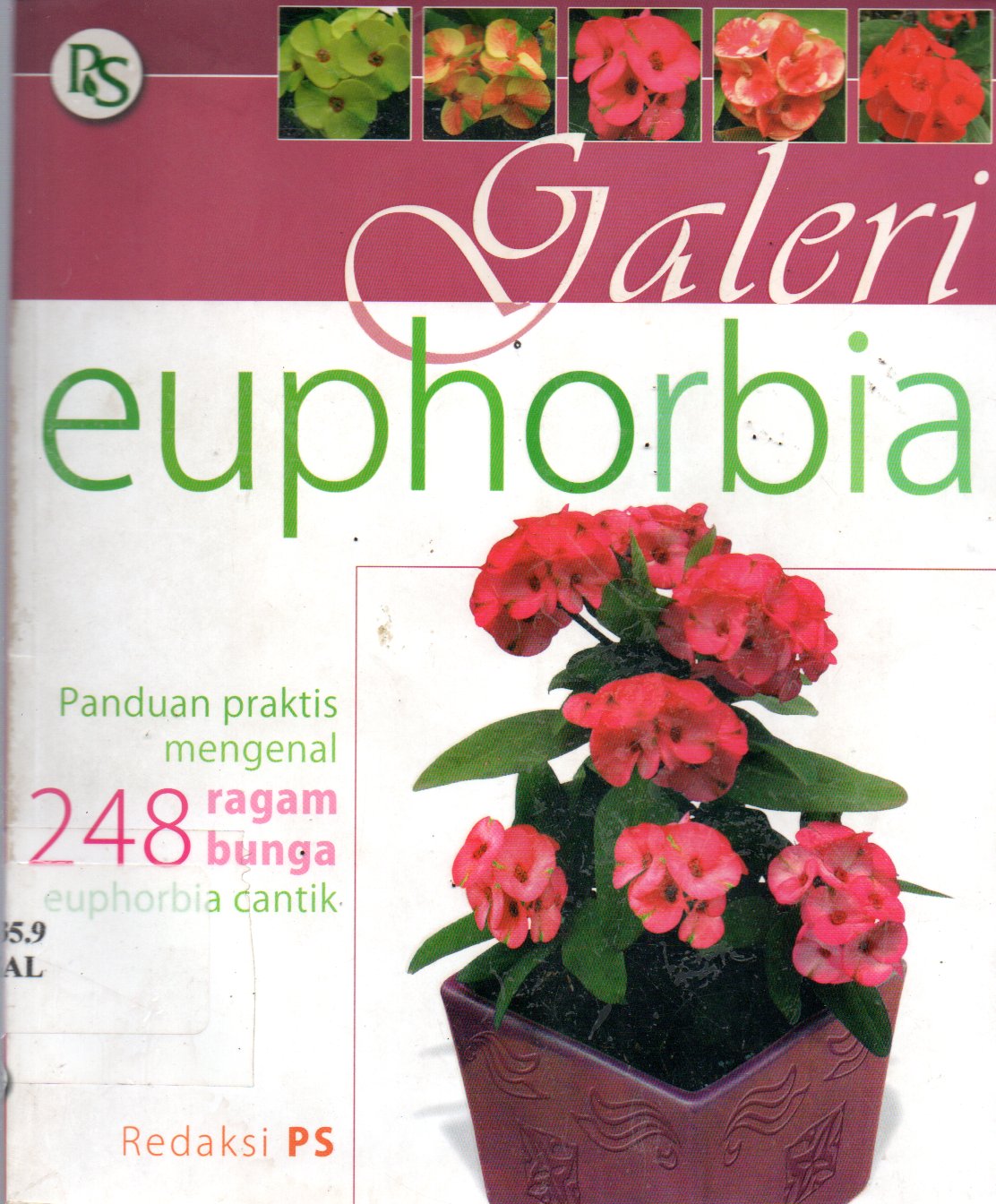 Sampul Galeri Euphorbia