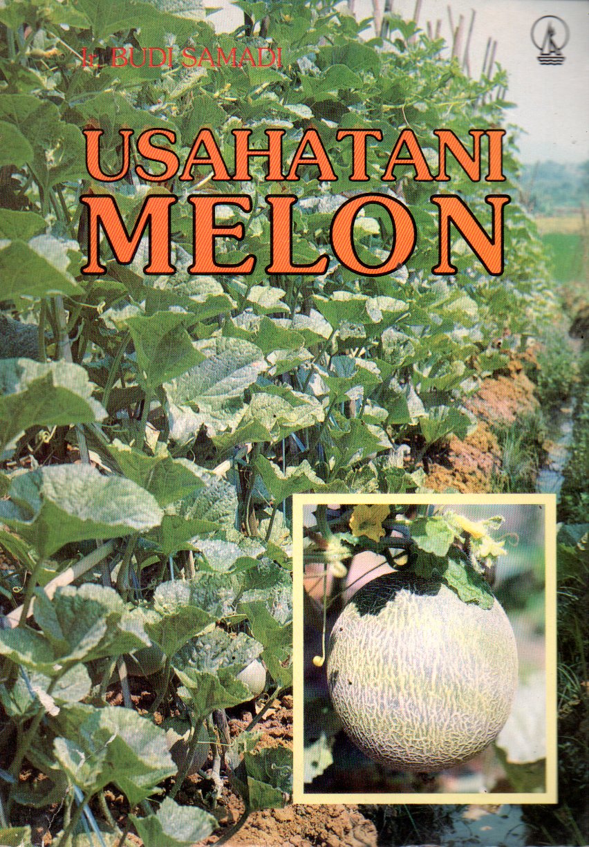 Sampul Usahatani Melon