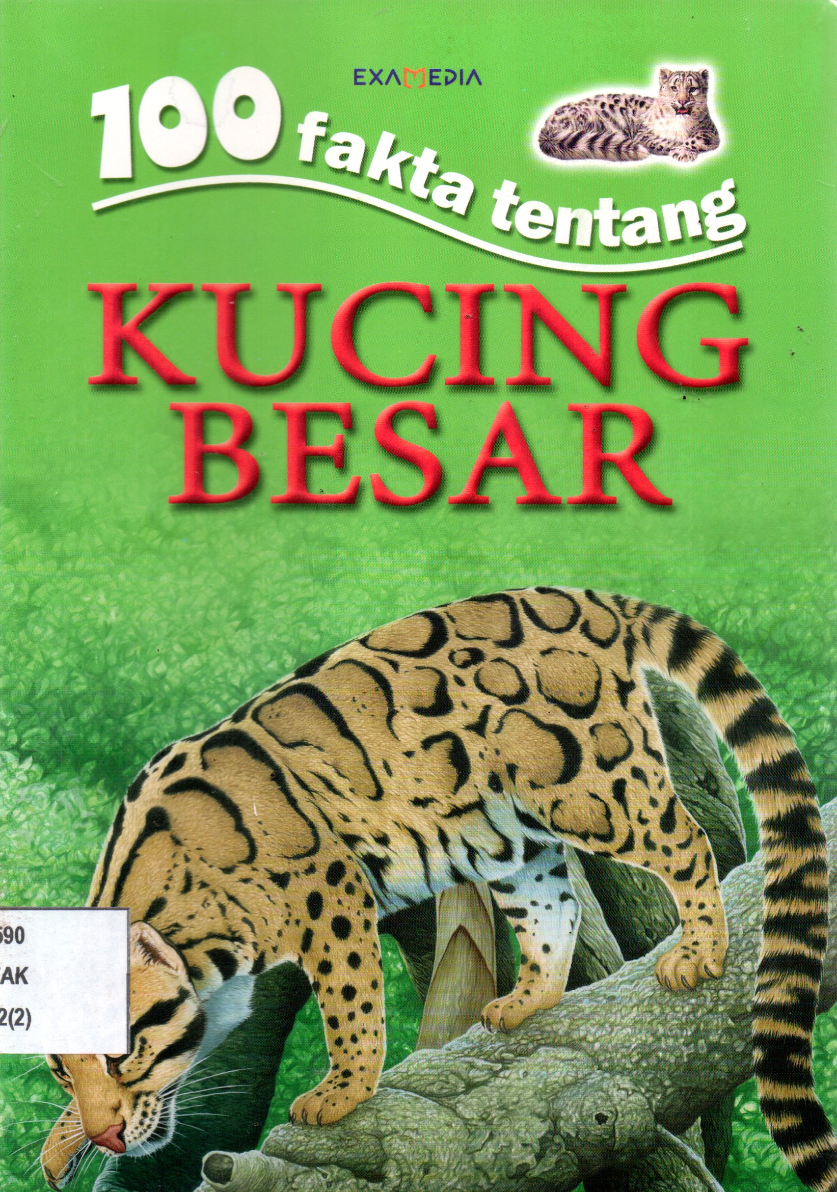 Sampul 100 Fakta tentang Kucing Besar / Penyunting; Angkawijaya