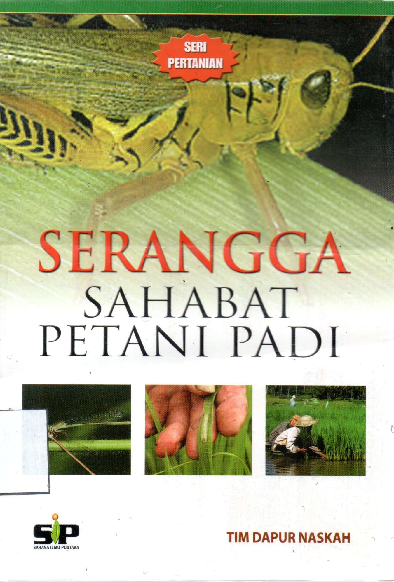 Sampul Serangga Sahabat Petani Padi / Editor: Rissa Yanuar