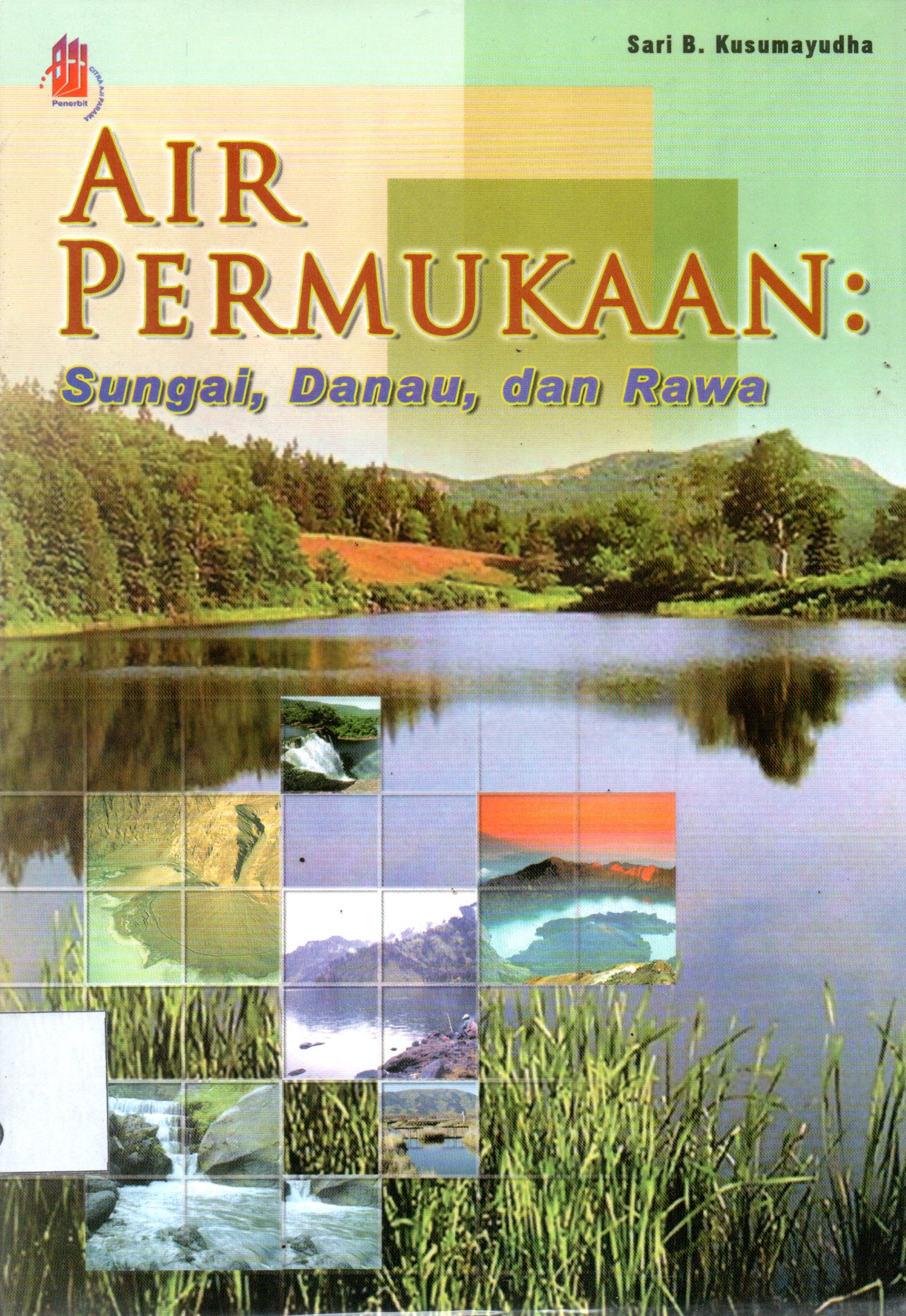 Sampul Air Permukaan :  Sungai, Danau, dan Rawa / Penyunting: Arum P. Mayasari