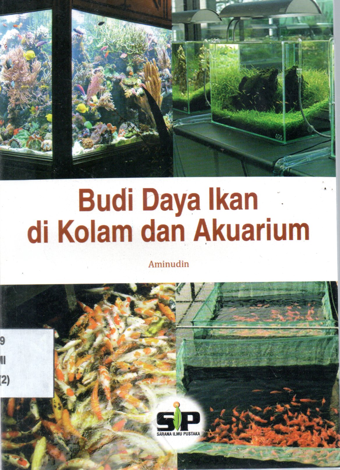 Sampul Budi Daya Ikan di Kolam dan Akuarium / Editor: Edi warsidi