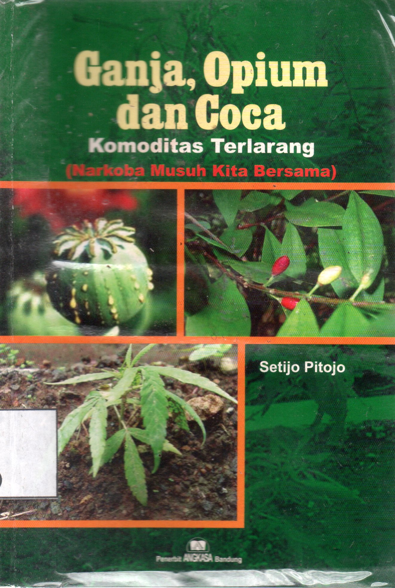 Sampul Ganja, Opium dan Coca Komoditas Terlarang :  Narkoba Musuh Kita Bersama