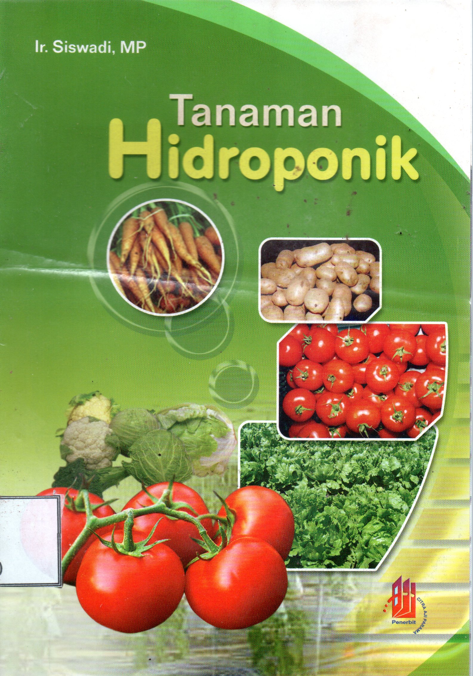 Sampul Tanaman Hidroponik