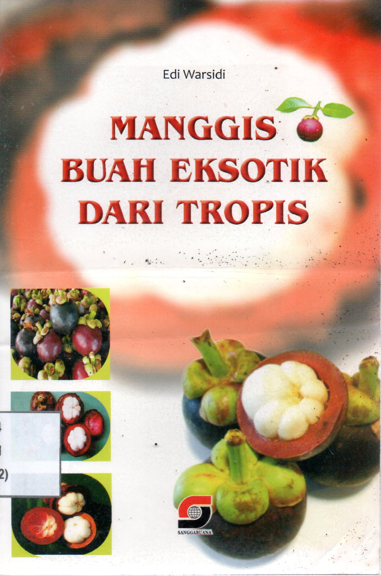 Sampul Manggis Buah Eksotik dari Tropis / Editor: Rissa Yanuar